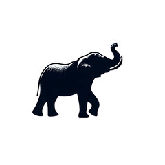 Obraz premium Shadow shadow - 41