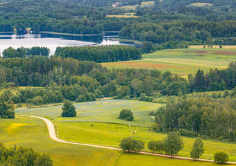 Bay Lake Ardavs.  Nature of Latvia, Latgale.
