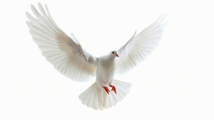 Fototapeta premium White dove in mid-flight on a light background. The bird symbolizes peace and purity. Bright and serene image perfect for conceptual, decorative, and meditation purposes. AI