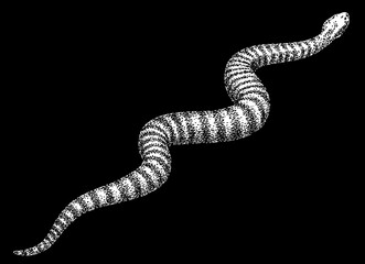 Vintage engraving isolated snake set illustration serpent ink sketch. Reptile asp background viper silhouette cobra art. Black and white hand drawn image