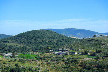 Fototapeta premium Galilee landscape with a tree in the background