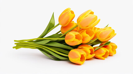 Isolated tulips bouquet against a stark white background