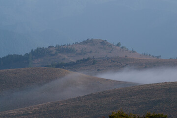 霧に包まれる高原　霧ヶ峰