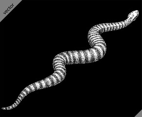 Vintage engraving isolated snake set illustration serpent ink sketch. Reptile asp background viper silhouette cobra art. Black and white hand drawn vector image