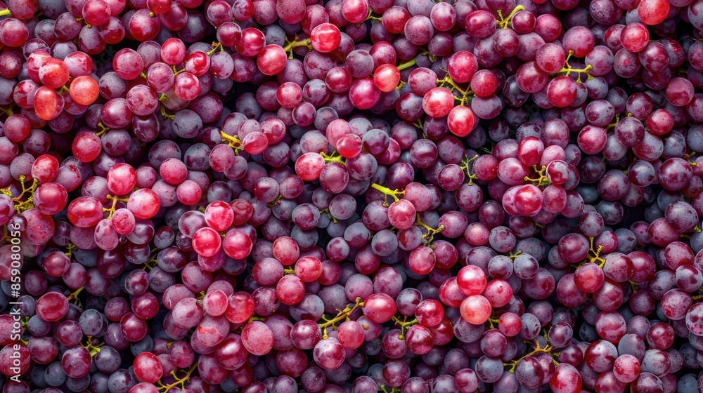 Poster freshly picked red grapes arranged in a pattern close up with copy space top view