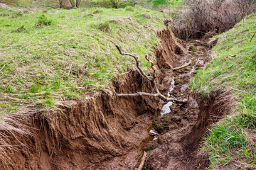 Water erosion of clay soil, formation of a ravine
