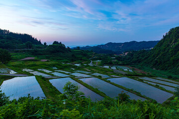 夕暮れの四ツ村の棚田 © GINZI