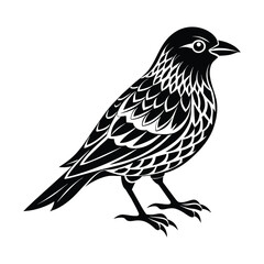 Bird sihlouette