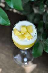 yogurt with mango topping ,  natural yogurt with mango