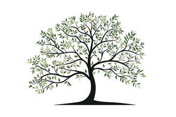 Obraz premium Set of different kind of plants , Elements , white background ,easy useable