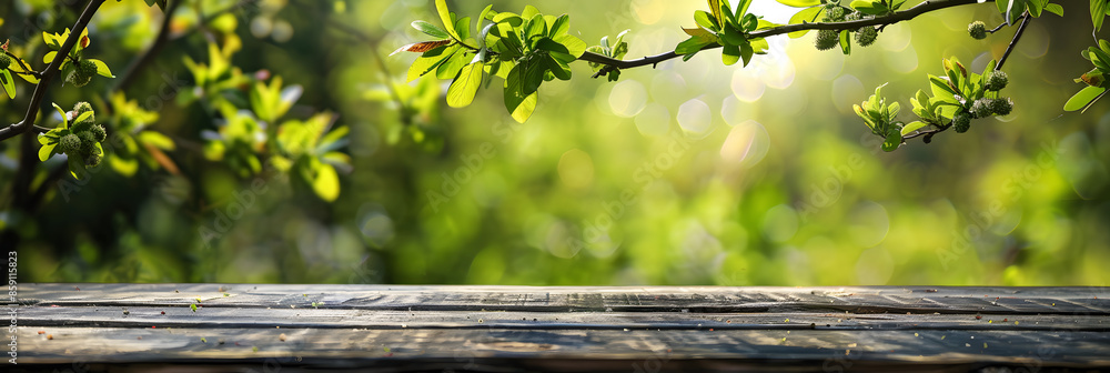 Poster empty wood table top and blurred green tree in the park garden background - can used for display or 