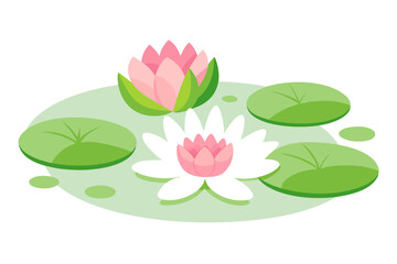 Waterlily Waterlilies vector illustration and svg
