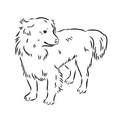black line Alopecis the dog, vector sketch