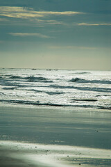 Strolling on the beach under the winter sun in New Zealand