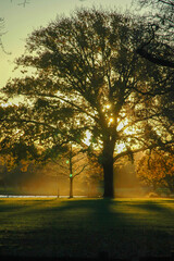 Fototapeta premium Sun setting in the southern regions in the world across New Zealand