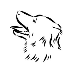 black line Alopecis the dog, vector sketch