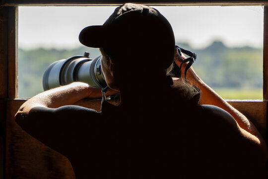Anonymous woman observing birds from a hide in a reserve - Powered by Adobe