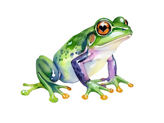 Green frog. Watercolor painting. Clip art. Isolated transparent background.