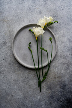 Minimalist freesia flowers on a concrete background