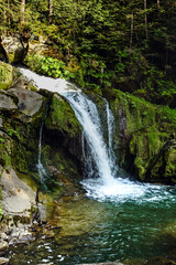 A serene waterfall cascading down moss-covered rocks into a crystal-clear pool surrounded by lush green forest. Perfect for nature-themed designs and tranquil backgrounds.