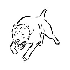 Vintage hand drawn sketch American bandog