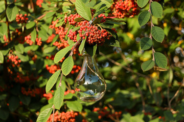 Walking through the middy forest paths around Hertford through the leaves and branches as the colder months of the year wrap themselves around the world