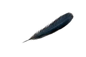 Black feather isolated on white background, Beautiful feather