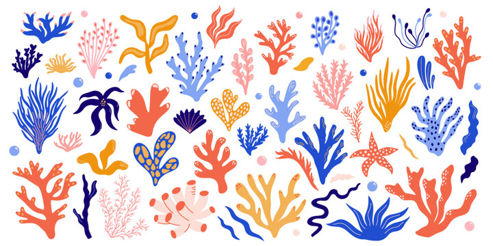 Cartoon seaweed, algae, coral reef, botanical vector illustration element set for design. Different types of exotic underwater ocean sea flora, marine, aquatic funky groovy plants sticker collection