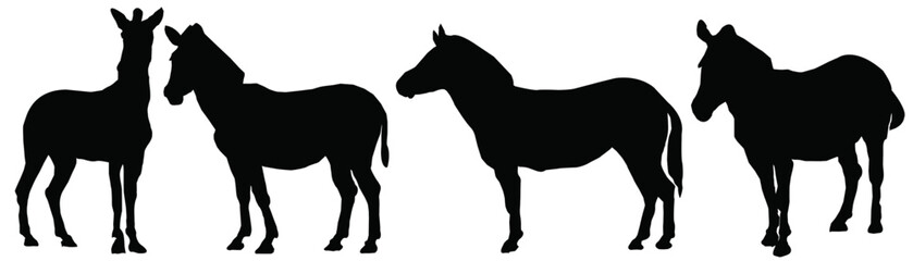 silhouette of a zebra