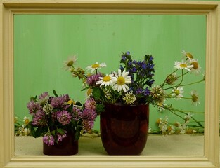 Bunches of roman chamomile flowers, red clovers, and Viper's Bugloss plant placed in the transparent glass red vases are in a wooden frame on a white table, green background. 