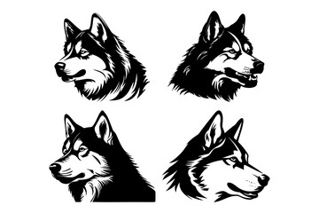 Huskies' silhouettes