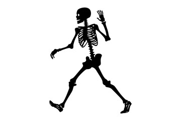 Skeleton silhouette