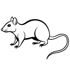 illustration of a mouse