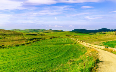 green spring hills with young grass and amazing growing fields and hills with beautiful bright cloudy sunset on background of rural landscape