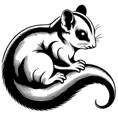 Sugar glider silhouette