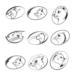 Detailed Cat Head Vector Illustration for Graphic Design Icon