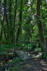 nature and animals on a nature walk