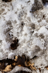 Spring ground covered with thawing snow