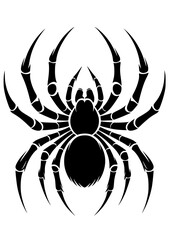 Spider SVG, Spider web SVG, Insect SVG, Tarantula SVG, Predator SVG, Nature SVG, Halloween SVG, Cobweb Silhouette, Cobweb Vector, Cobweb Clipart, Cut file for Cricut SVG, JPG, PNG