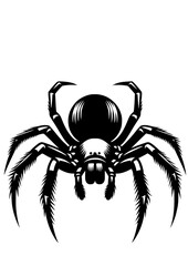 Spider SVG, Spider web SVG, Insect SVG, Tarantula SVG, Predator SVG, Nature SVG, Halloween SVG, Cobweb Silhouette, Cobweb Vector, Cobweb Clipart, Cut file for Cricut SVG, JPG, PNG