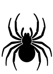 Spider SVG, Spider web SVG, Insect SVG, Tarantula SVG, Predator SVG, Nature SVG, Halloween SVG, Cobweb Silhouette, Cobweb Vector, Cobweb Clipart, Cut file for Cricut SVG, JPG, PNG