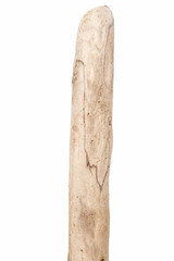 Part of driftwood isolated on white
