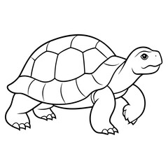 vector illustration sulcata-tortoise 