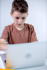 Little boy using laptop for homework. Distance education.