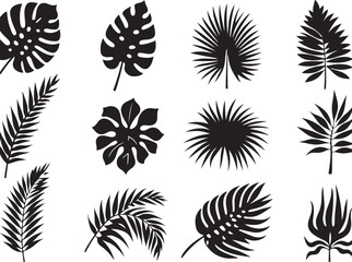 Palm Leaves, Monstera & More. Vector Illustration © Arif