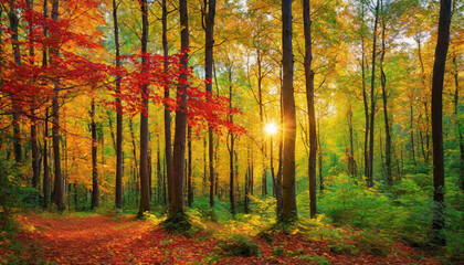 Fototapeta premium Autumn forest landscape, orange golden foliage, fall wallpaper