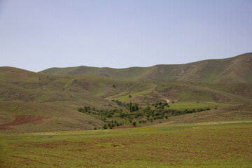 Obraz premium Beautiful landscapes and gardens around the city of Saqoz, Kurdistan province of Iran in May, IRAN
