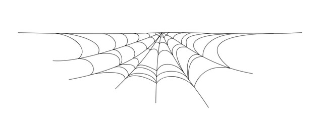 spider web background for hallowen design. spider web line art
