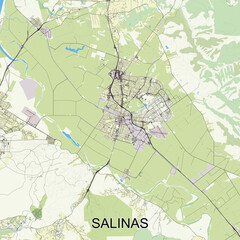 Salinas, California, USA map poster art