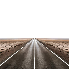 Long straight road stretching into the horizon, symmetrically flanked by barren desert landscape under a clear sky.